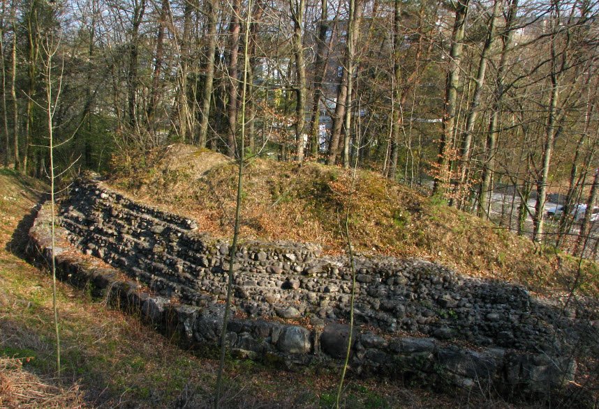 Ruine Hohenlandenberg, Wila, Switzerland, Switzerland